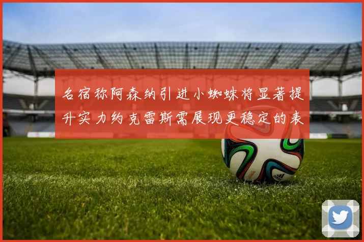 名宿称阿森纳引进小蜘蛛将显著提升实力约克雷斯需展现更稳定的表现