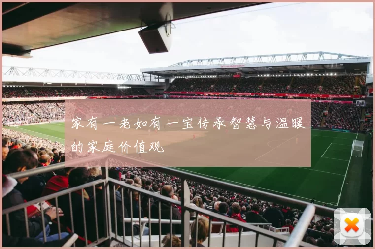 家有一老如有一宝传承智慧与温暖的家庭价值观