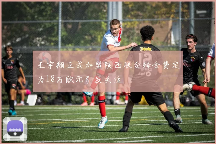 王宇翔正式加盟陕西联合转会费定为18万欧元引发关注